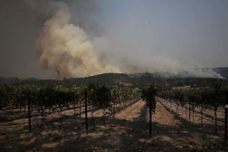 Gundlach Bundschu Winery fires burn in the background, Oct 2017