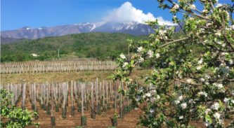 Rinazzu Etna Rosso Selezione Speciale