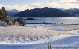 Winter at Rippon