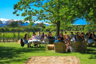 Guests enjoying the sun at Ata Rangi vinyards, Martinborough. Photo / Pete Monk