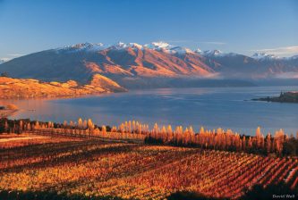 Looking down over its sloping vineyards to Lake Wanaka, the views from Rippon vineyard are iconic. Photo / David Wall