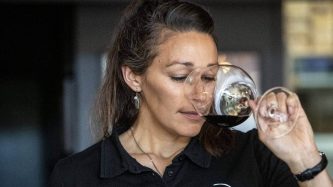 MONIQUE FORD/STUFF Wine-Oji will give you the nous to have a good nose for wine - no experience required.