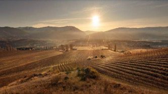 Akarua Estate vineyard in Central Otago has been sold to Bordeaux based Edmond de Rothschild Heritage Wines.