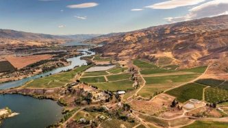 The soil had all the elements required, and the slope was gentle enough for the vines to be able to develop well, said Ann Escalle.