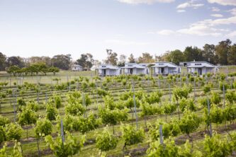 Ridgemill Estate boasts 12 studio cabins embedded in a vineyard.