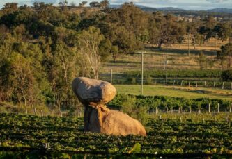 Balancing Heart Vineyard