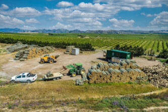 Repost have been working In Hawke's Bay since Cyclone Gabrielle, repurposing damaged posts.© Provided by NZ Herald