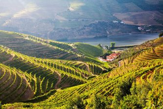 Douro Valley, Portugal / Getty