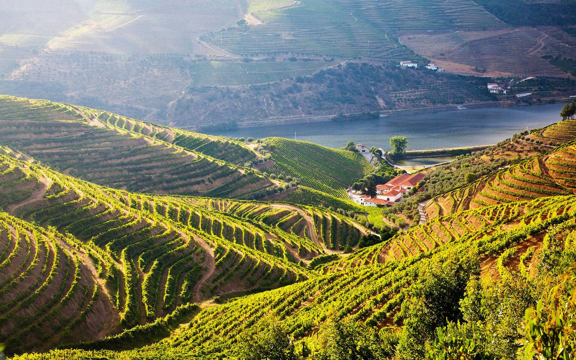 Douro Valley, Portugal / Getty