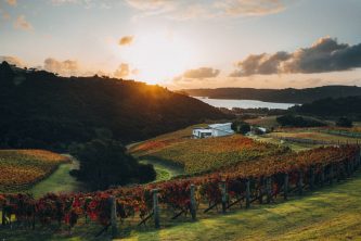 Destiny Bay Wines on Waiheke Island
