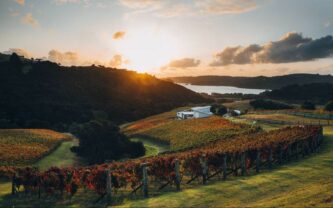 Destiny Bay, a winery on Auckland's Waiheke Island.