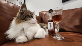 Kiwi start-up, Muttley’s Estate, has created a shelf-stable pet wine that can be stored for up to 12 months.