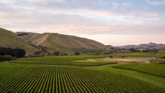 Craggy Range in Martinborough won a Best in Show for its pinot noir.Craggy Range