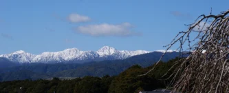 View toward Tararua Forest Park