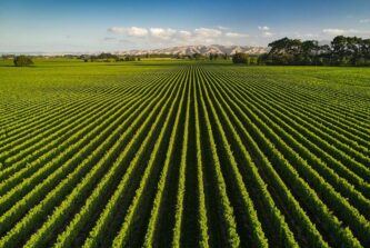 No.52 Wairau River Wines, Marlborough