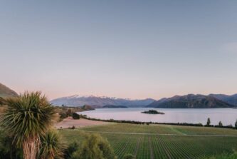 The World’s 50 Best Vineyards 2025: the 1-50 list revealed